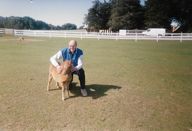 Ray Suring mini horses.jpeg